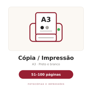 Cópia / Impressão A3 Preto e Branco - 51 a 100 páginas